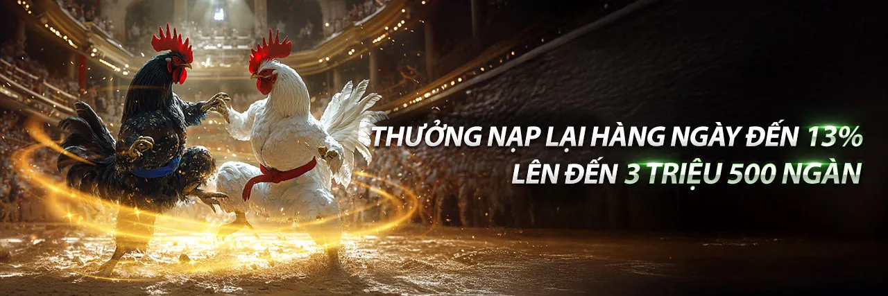 Đá gà trực tuyến Kubet Casino